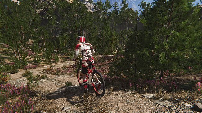 Traildown: Downhill Mountain Biking