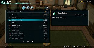 Trinity Trigger - Purchase Permit: Mega Potion