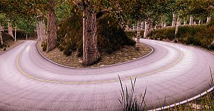 PRO DRIFT RELOADED 2020