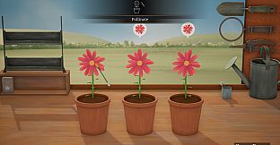Hour Flowers