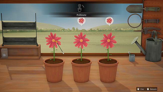 Hour Flowers
