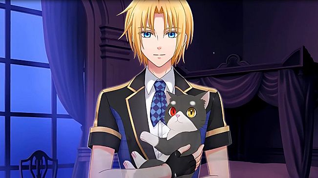 Melting into Aoi's World - After Story, Art & Animation Pack