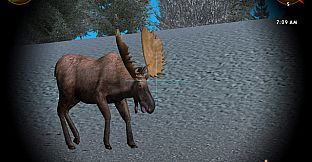 Hunting Unlimited 2008