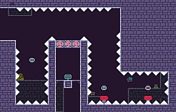 Anatidae: To The Nest Level