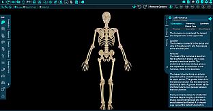 Vesalii Anatomy 3D Student
