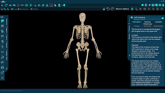 Vesalii Anatomy 3D Student