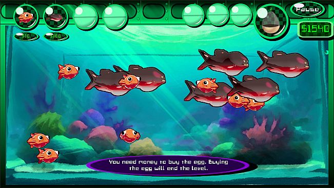 Fish Go Brrr!