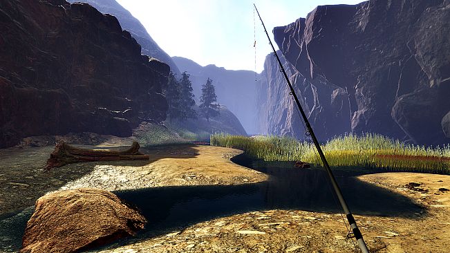 Professional Fishing