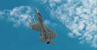 RealFlight Evolution