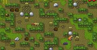 Chipmunk's Adventures