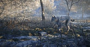 theHunter: Call of the Wild - 2019 Edition