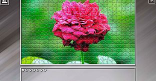 Super Jigsaw Puzzle: Generations - Flowers 2