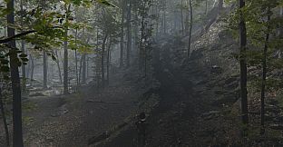 Deranged Park Rangers