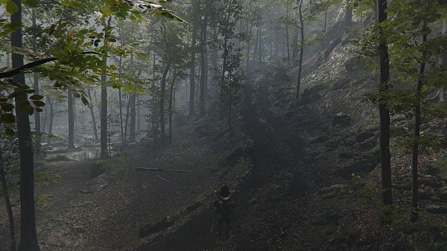 Deranged Park Rangers