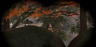 Furry Spy Simulator: Hot Springs