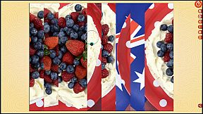 Puzzle Vacations: Australia and New Zealand