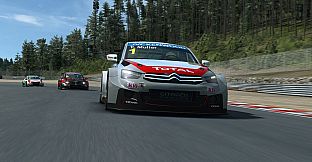 RaceRoom - WTCC 2014 Car Pack