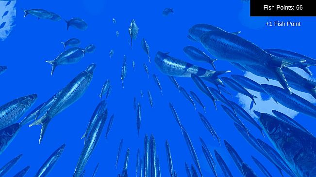 Fish Simulator