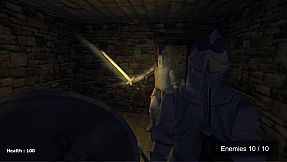 Paladin Duty - Knights and Blades