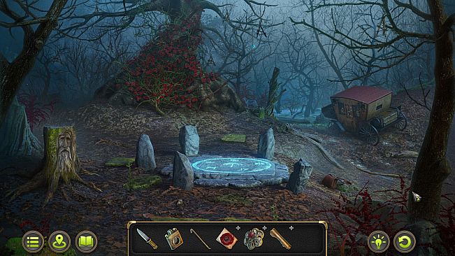 Mystery Detective Adventure Collector's Edition