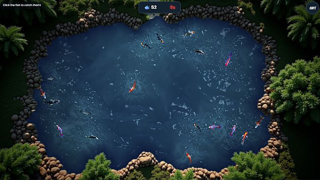 Koi Frenzy