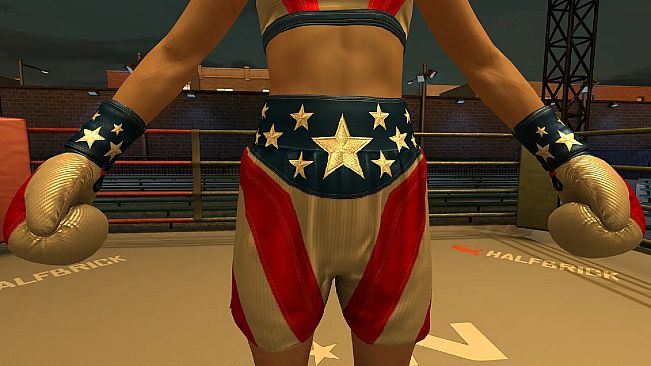 The Thrill Of The Fight 2 - 4th of July Gloves