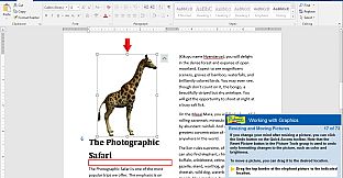 Professor Teaches Word 2016