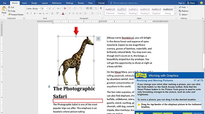 Professor Teaches Word 2016