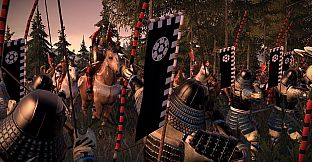 Total War: SHOGUN 2 - Sengoku Jidai Unit Pack