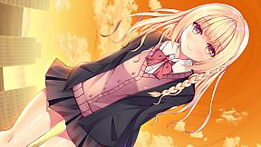 White Wings ホワイトウィングス