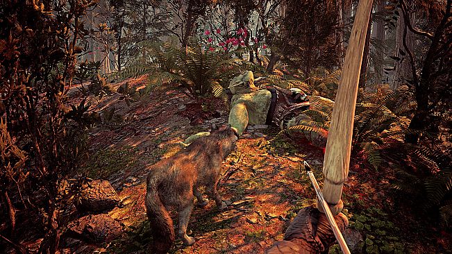 Archer: The Witch's Wrath