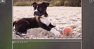 Super Jigsaw Puzzle: Generations - Puppies Puzzles