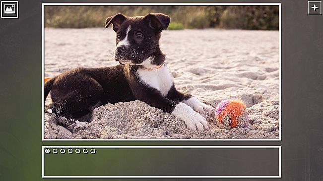 Super Jigsaw Puzzle: Generations - Puppies Puzzles