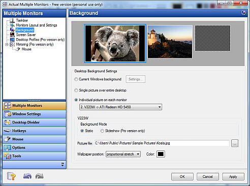 Actual Multiple Monitors