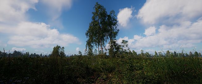 Russian Soul Simulator