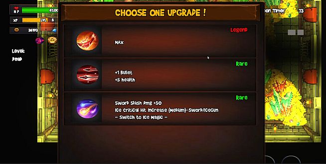 Hector The Cat - Treasure Hunter