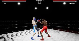 Boxing Simulator