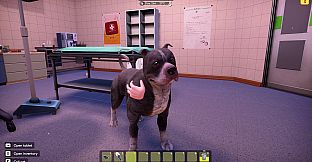 Animal Shelter 2 - Bull-Type Terriers Dogs Pack