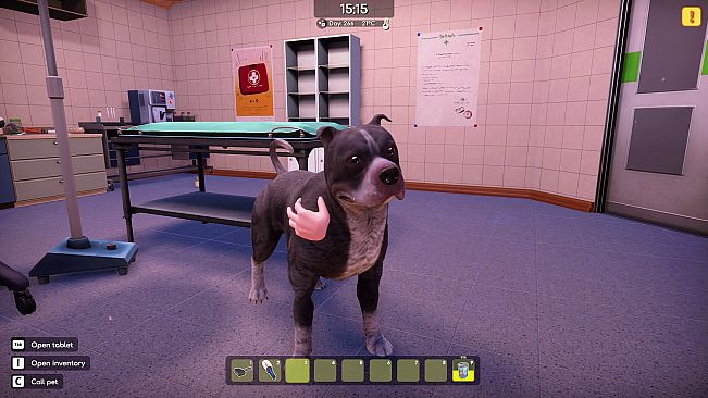 Animal Shelter 2 - Bull-Type Terriers Dogs Pack