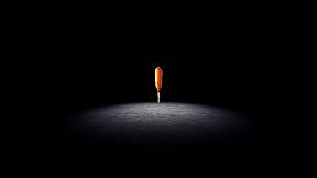 Legend of the Corndog(s)