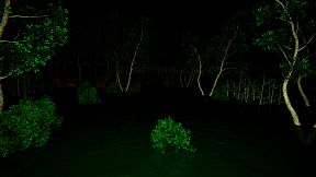 Aokigahara :The death forest