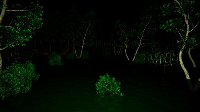 Aokigahara :The death forest