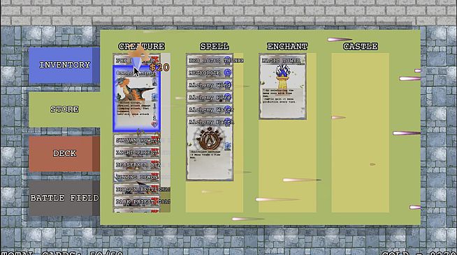 Mage of Tempest Castle