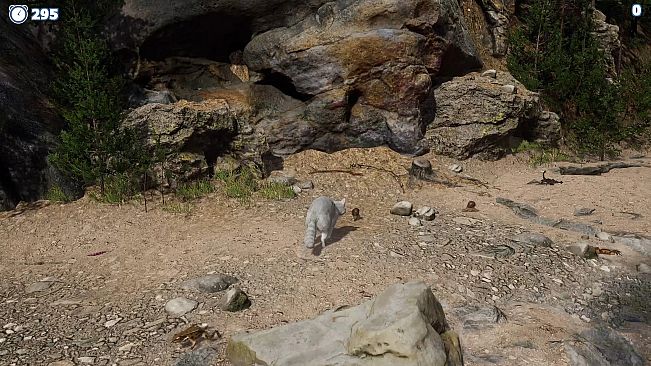 Cazzarion: Raccoon Valley