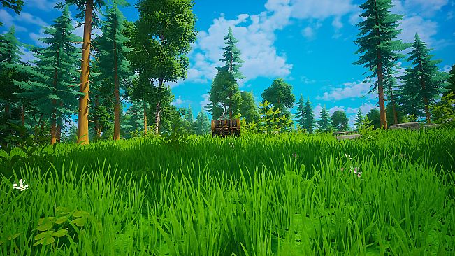 My Money Grows On Trees