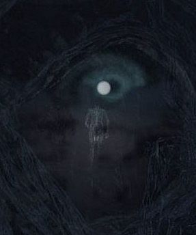 Virtual Near Death Experience