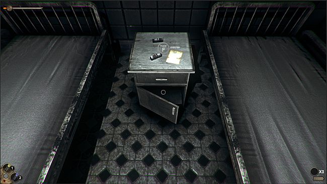 Horror in the Asylum