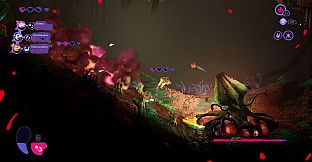 Mother Machine - Misty Grove