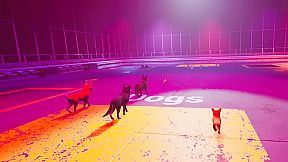 Claw Clash: Cat vs Dog Betting