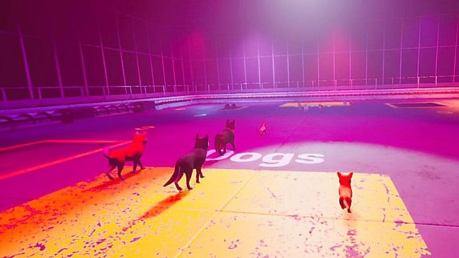 Claw Clash: Cat vs Dog Betting